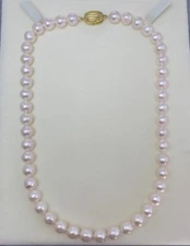 8.5-8.9mm Semi-round White-Rose 17" Akoya pearl necklace sterling silver Clasp