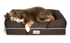 petfusion memory foam bed