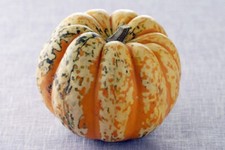 20 Graines Courge Patidou Méthode BIO semences plante légume potager ancien rare