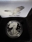2025 Laser Engraved Privy American Eagle 1 OZ .999 Silver Proof Coin