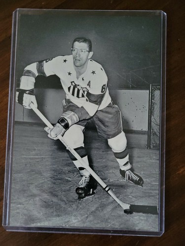 Tarjeta fotográfica emitida por el equipo estadounidense Al Arbour Rochester 1963-64 EX+ RARA - Imagen 1 de 2