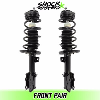 Front Pair Quick Complete Struts & Spring Assemblies for 2014-2019 Ford Fiesta