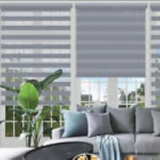 Changshade 85% Blackout Cordless Double Layered Window Blinds Zebra Roller Shade