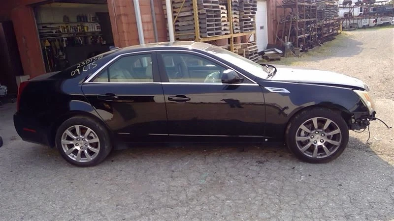 2009 Cadillac CTS Driver Side Rear Inner Door Trim Panel — 第 4/4 张图片