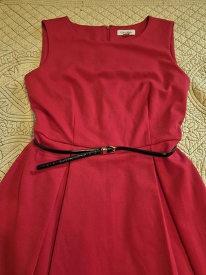 Calvin Klein Women's 6 Fit'n'Flare Pleated Dress Red Belt Ponte Knit | eBay Calvin Klein Women's 6 Fit'n'Flare Pleated Dress Red Belt Ponte Knit | eBay