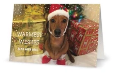 1 Holiday Card Santa Dachshund Dog - Warm Wishes - Animal Rescue Scrappy Dizzle