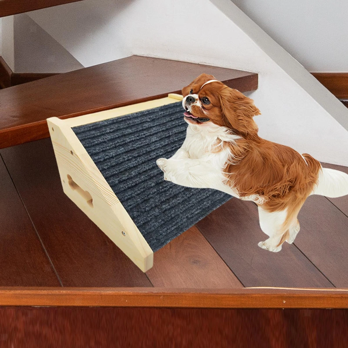 Tragbare Hunderampen & -treppen aus Holz online kaufen | eBay.de