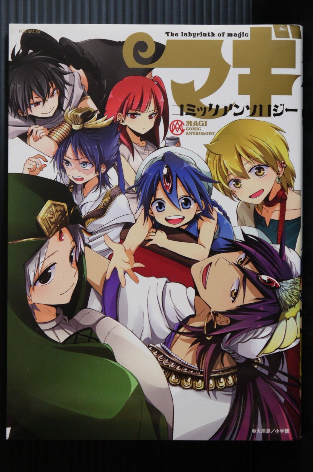 Magi: The Labyrinth of Magic