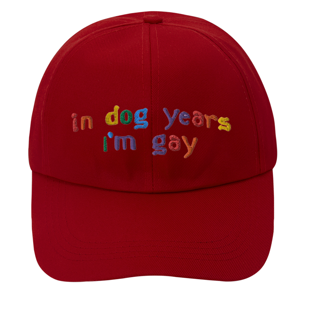 Flexfit Gay Pride 'Be You' Embroidered Baseball Cap - Unisex Dad Hat, Black, S/M Or L/XL
