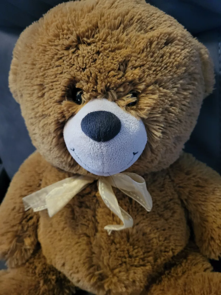 I want to buy clearance a teddy bear