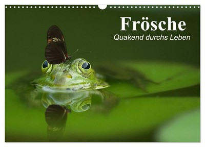 Frösche. Quakend durchs Leben (Wandkalender 2025 DIN A3 quer), CALVENDO Monatska