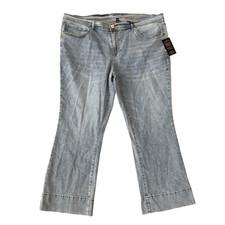 DG2 by Diane Gilman New Classic Stretch Denim Bootcut Jean size 22PW NWT