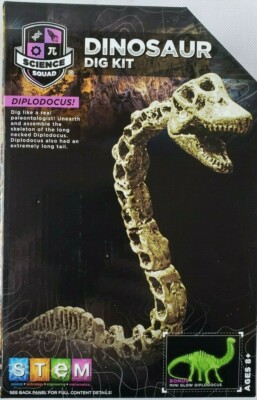 science squad dinosaur dig kit