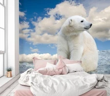 3D Polar Bear Animal ZHUA10562 Wallpaper Wall Murals Removable Self-adhesive Ann