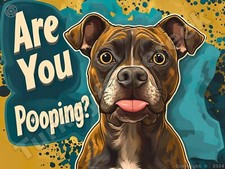 Are You Pooping Dog Metal Sign 3 Sizes to Choose From a55