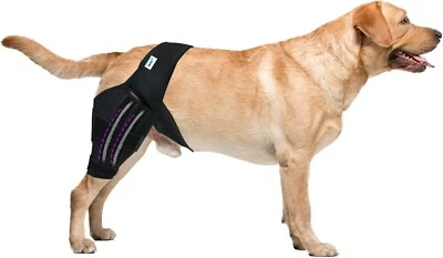 BKRMART Dog Knee Brace for Torn Acl Hind Leg for Support with Cruciate Ligament Injury,
