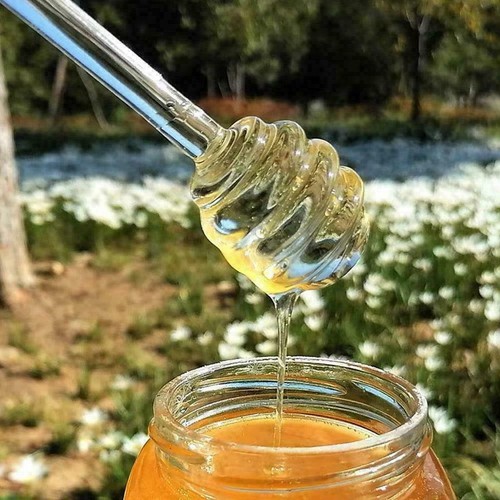 6 ‘’ Honey Spoon Glass Honey Dipper Stick Syrup Dispenser For HoneyA2X7 T7R9 - Picture 6 of 12