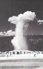 1950 Wyoming Old Faithful Geyser Yellowstone National Park Post Card