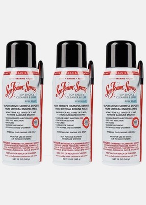 Sea Foam SS-14 Top Engine Cleaner & Lube Spray 12 Oz for Gasoline Engines 3-Pack