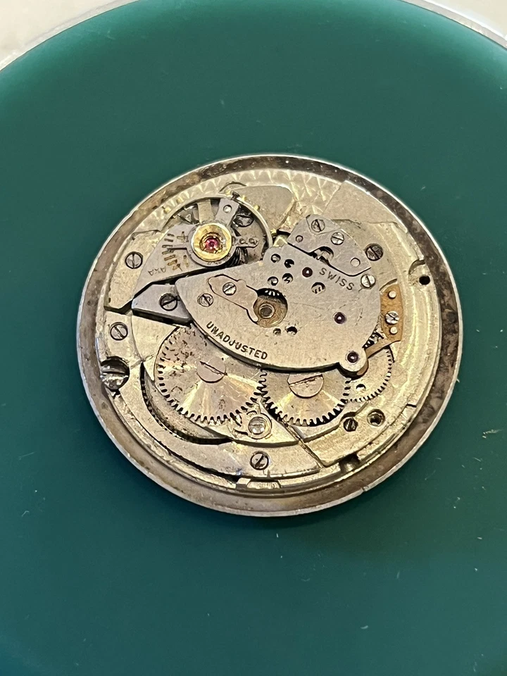 Movimiento de reloj automático Wittnauer 11ARK con esfera militar de 24 horas Foto 3 de 3