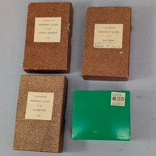 Lafayette Prepared Microscope Slides Lot 3 Sets Bacteria Plankton Little Animals