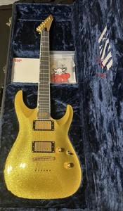 Esp Horizon Custom | eBay