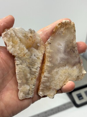 Plume Agate slabs Cabbing Lapidary Combo Ship Avail Oregon