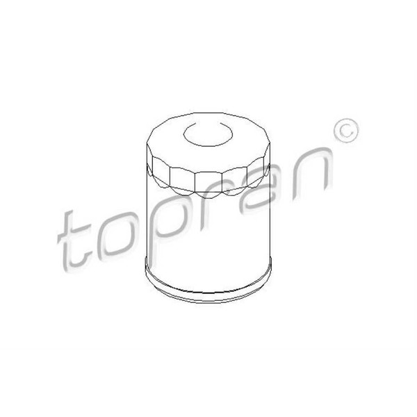 Topran ÖLfilter Anschraubfilter FüR Ford Fiesta VI Kuga II 1.5 Ecoboost 1.6-image