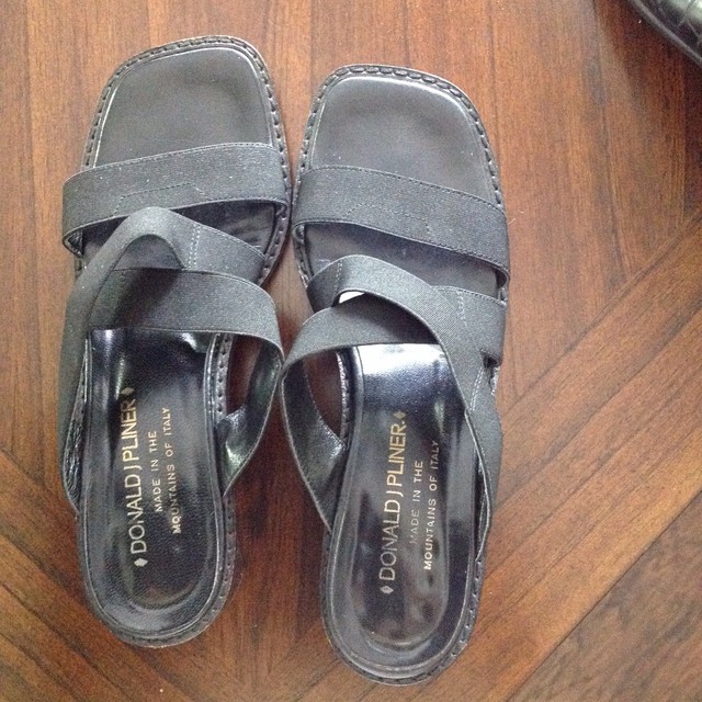 daniel pliner sandals