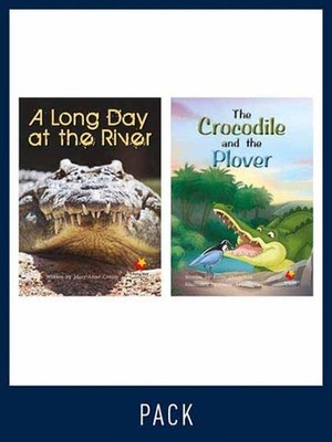 Flying Start Guided Reading Level 20, Pack 2: Paired student books (6x6) and les