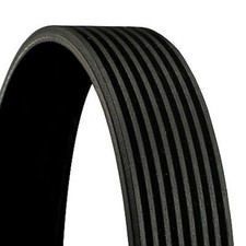 Keilrippenriemen CONTINENTAL CTAM 8PK2337 f&uuml;r MERCEDES KLASSE W140 S320 300 SEL