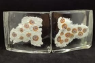 Vintage Italy Murano Art Glass Curved Paperweight Blocks/bookends