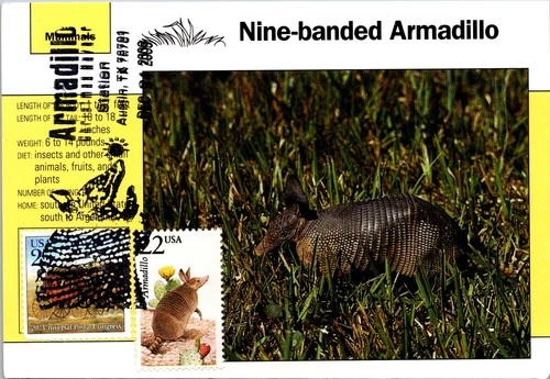 Dr Jim Stamps Maximum Card Armadillo 22C Postal Congress 25C Combo Fdc