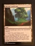 1x Myriad Landscape (262) Commander 2017 LP MTG Magic the Gatehring x1 MKE