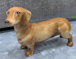 knee brace for labrador retriever