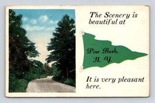 Pine Bush New York Green Penant - Scenic Country Road Postcard