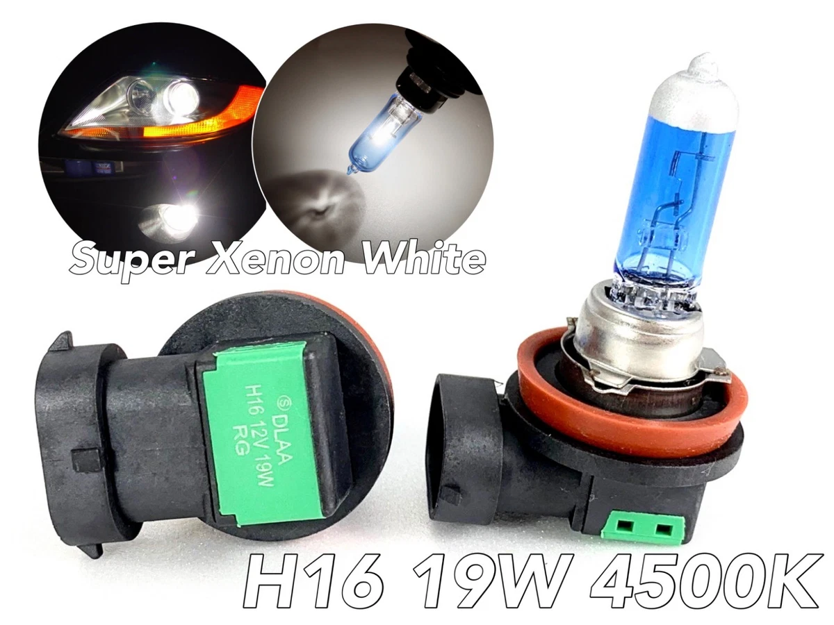 H16 halogen fog light bulb deals