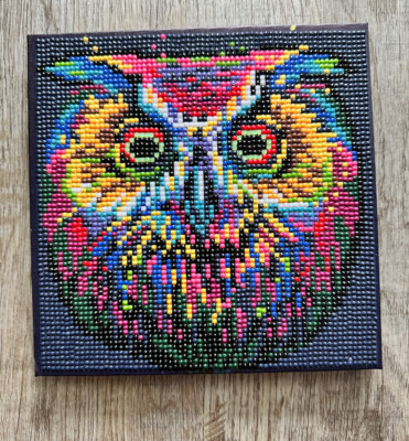 Diamond Painting Fertiges Bild Fertig Glow In The Dark Eule   Uhu 20x20 Avec