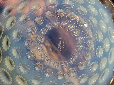 Rare R. LALIQUE ASTER Opalescent Coupe Ouverte Bowl 9-7/8 x 1-5/8