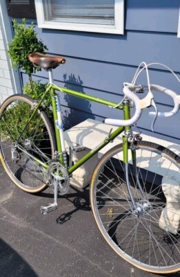 Raleigh international bike for sale new arrivals