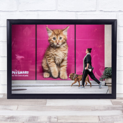 Street Kitten Dog Woman Walking Feline Canine Wall Art Print UK