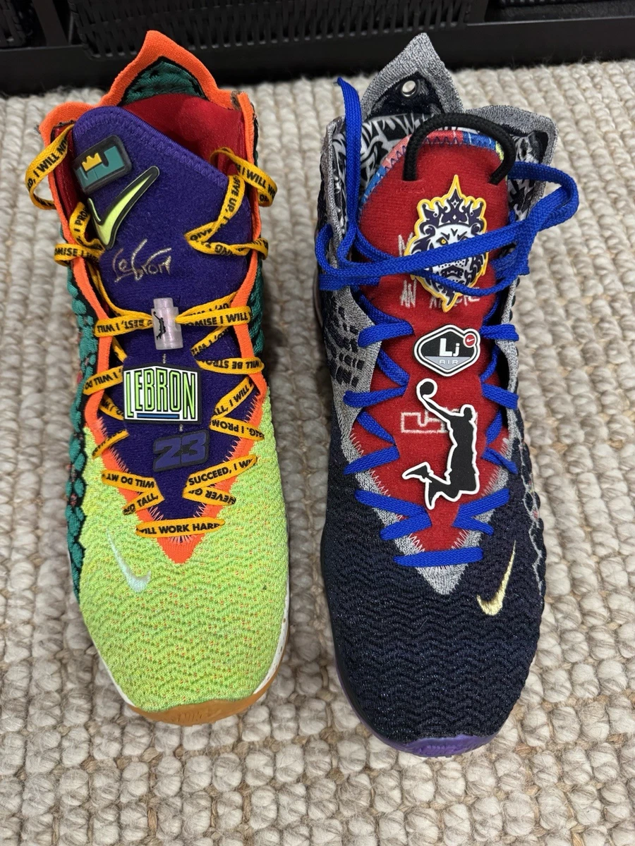 Nike LeBron 17 EP What The for Sale | Authenticity Guaranteed | eBay