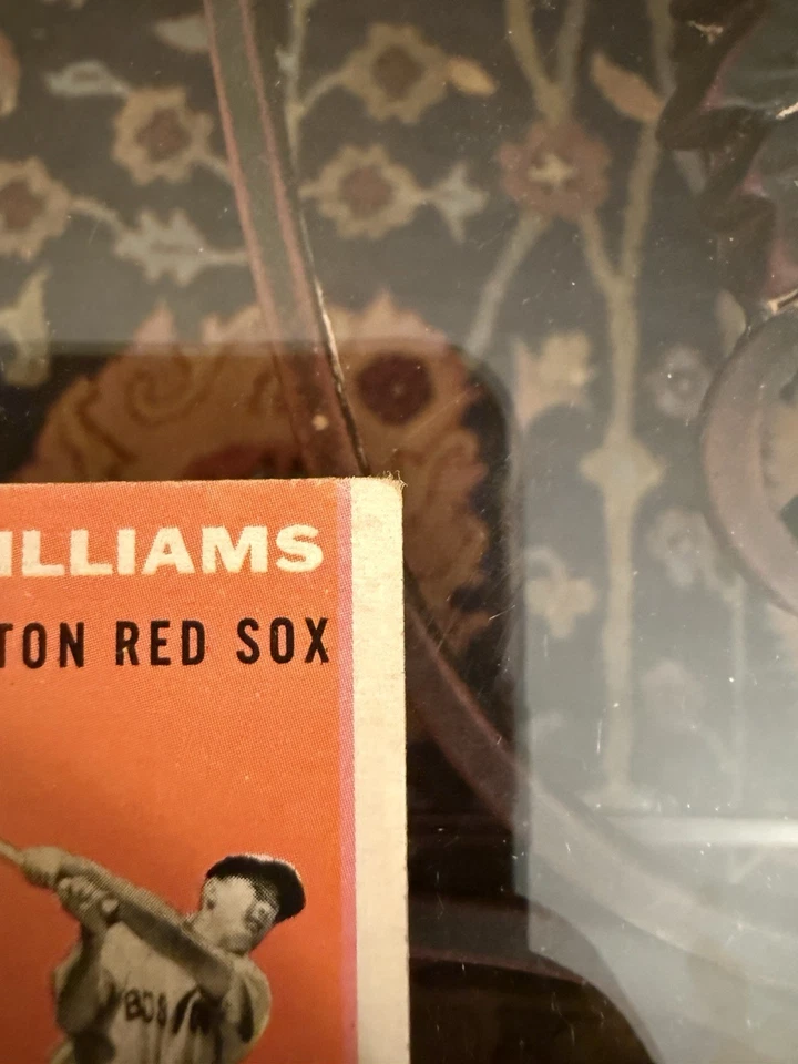 1954 Topps - Ted Williams #1 белая спина - Изображение 4 из 4