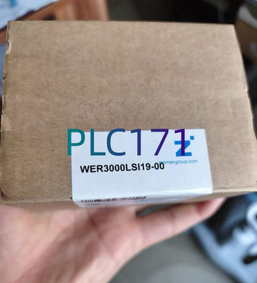 1PC New zimmer WER3000LSI19-00 Gas lock fast shipping
