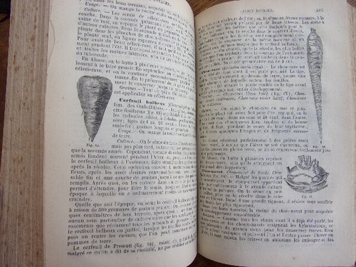 Agriculture. Le nouveau jardinier. 500 dessins 1877. 2/2vols - Picture 7 of 11