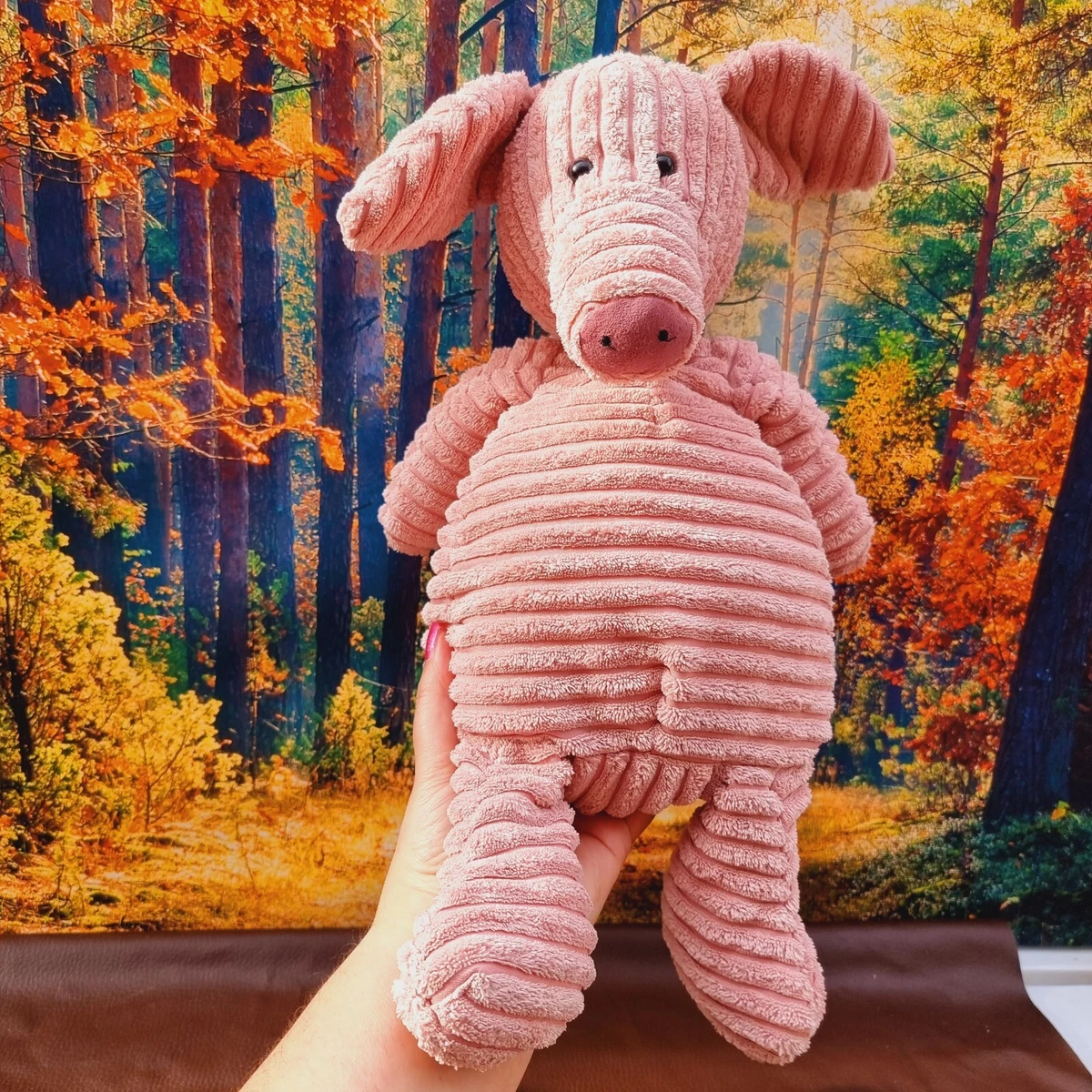 Cordy roy best sale pig