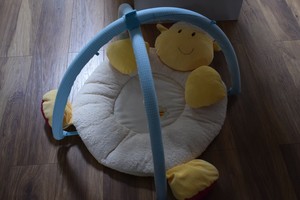 blossom farm play mat