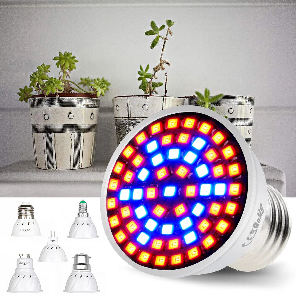 LED Pflanzenlampe E27 GU10 E14 MR16 B22 Pflanzenlicht Wuchs Licht Wachstumslampe