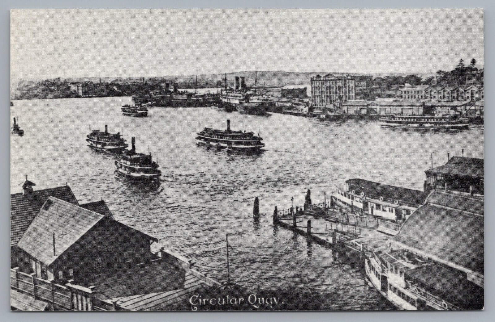 Circular Quay Sydney Harbour Bicentennial Souvenir Postcard eBay