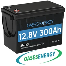 12V 300Ah Deep Cycle LiFePO4 Lithium Battery 200A BMS for RV Solar Boat Off-grid